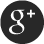 google+ icon