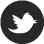 twitter icon